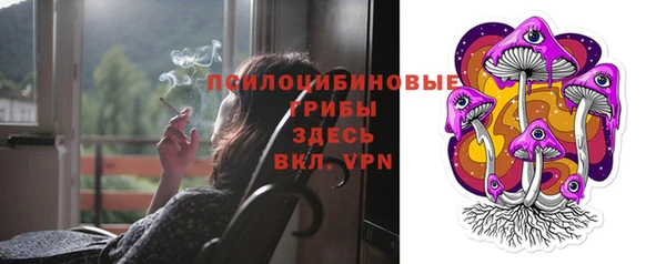 прущая мука Чекалин