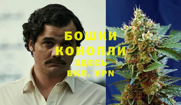 амф Заводоуковск