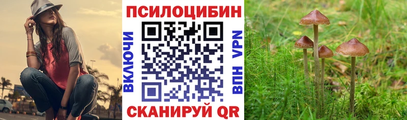 Галлюциногенные грибы мухоморы  что такое наркотик  Среднеуральск 